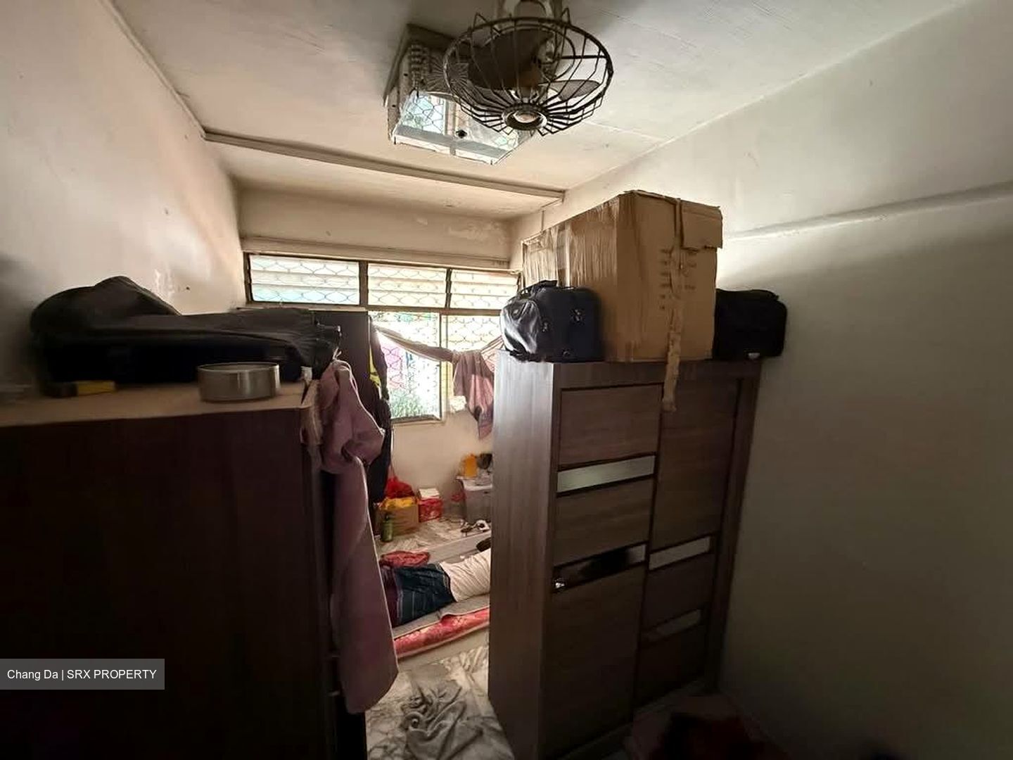 Tampines Road (D19), Detached #578601421